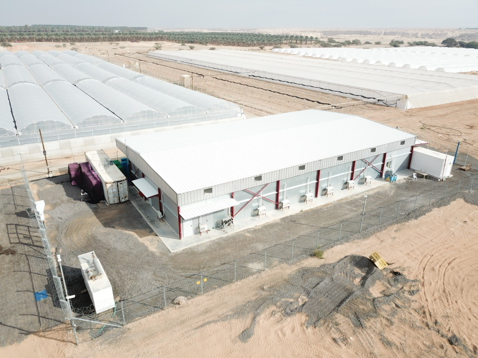 חווה לגידול קנביס רפואי - עין חצבה