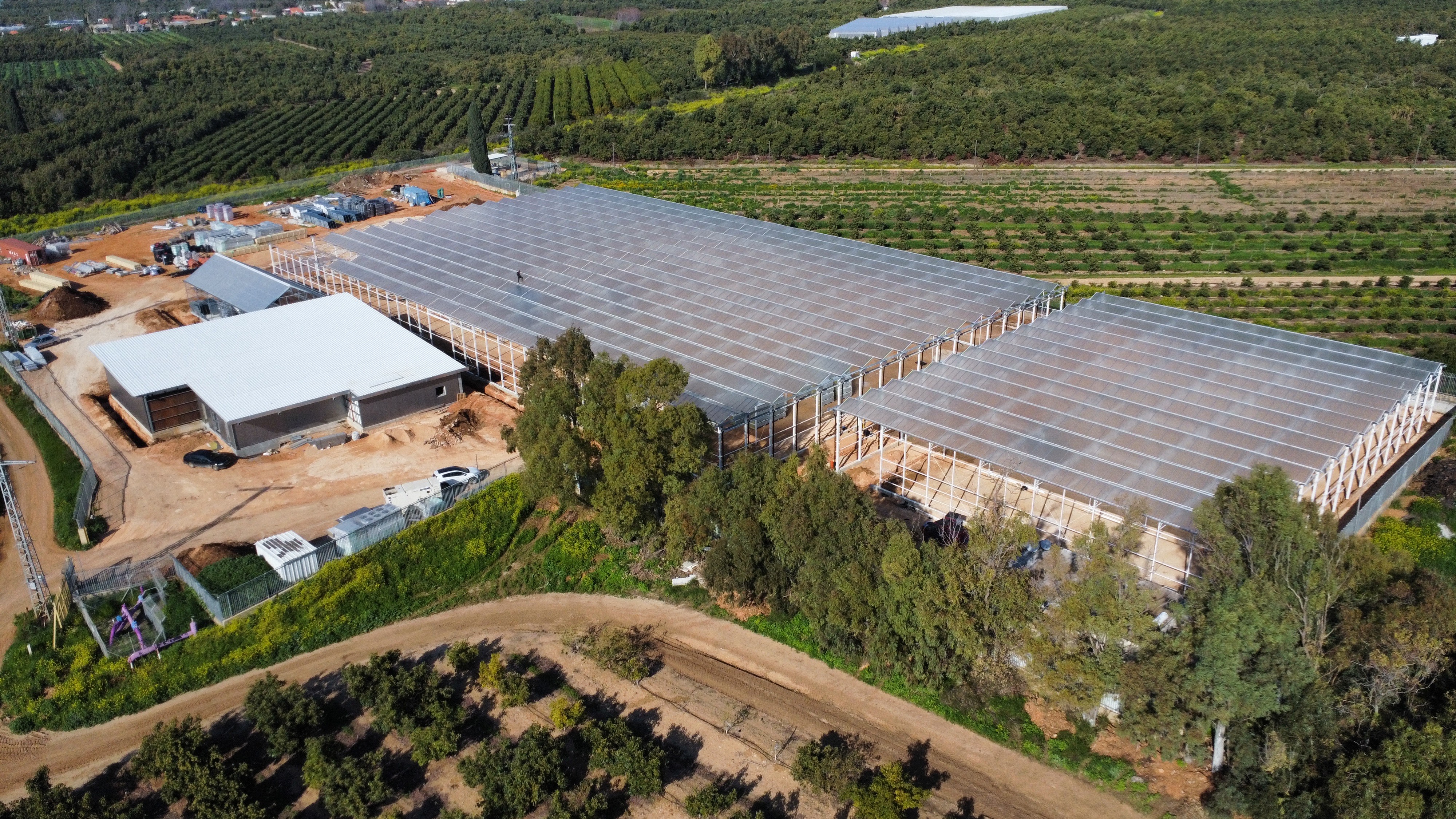 חווה לגידול קנביס רפואי - נתיב השיירה