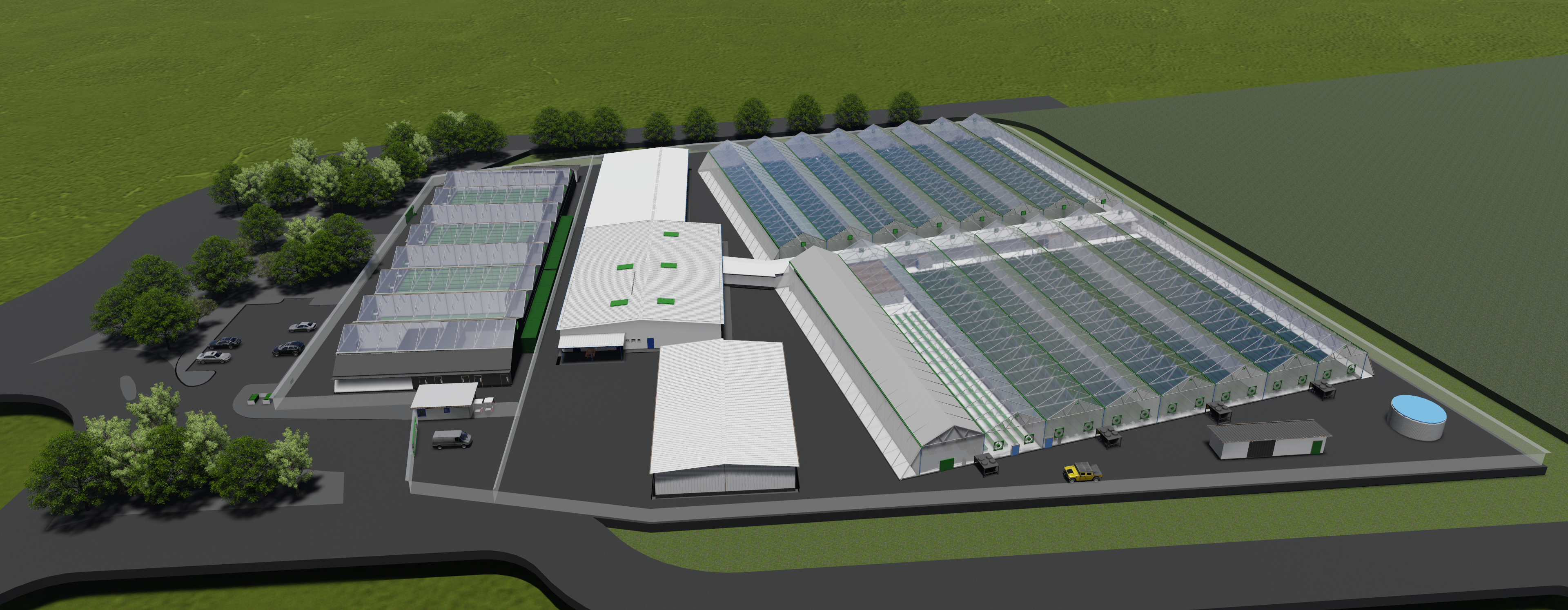 חווה לגידול קנביס רפואי - כפר מסריק